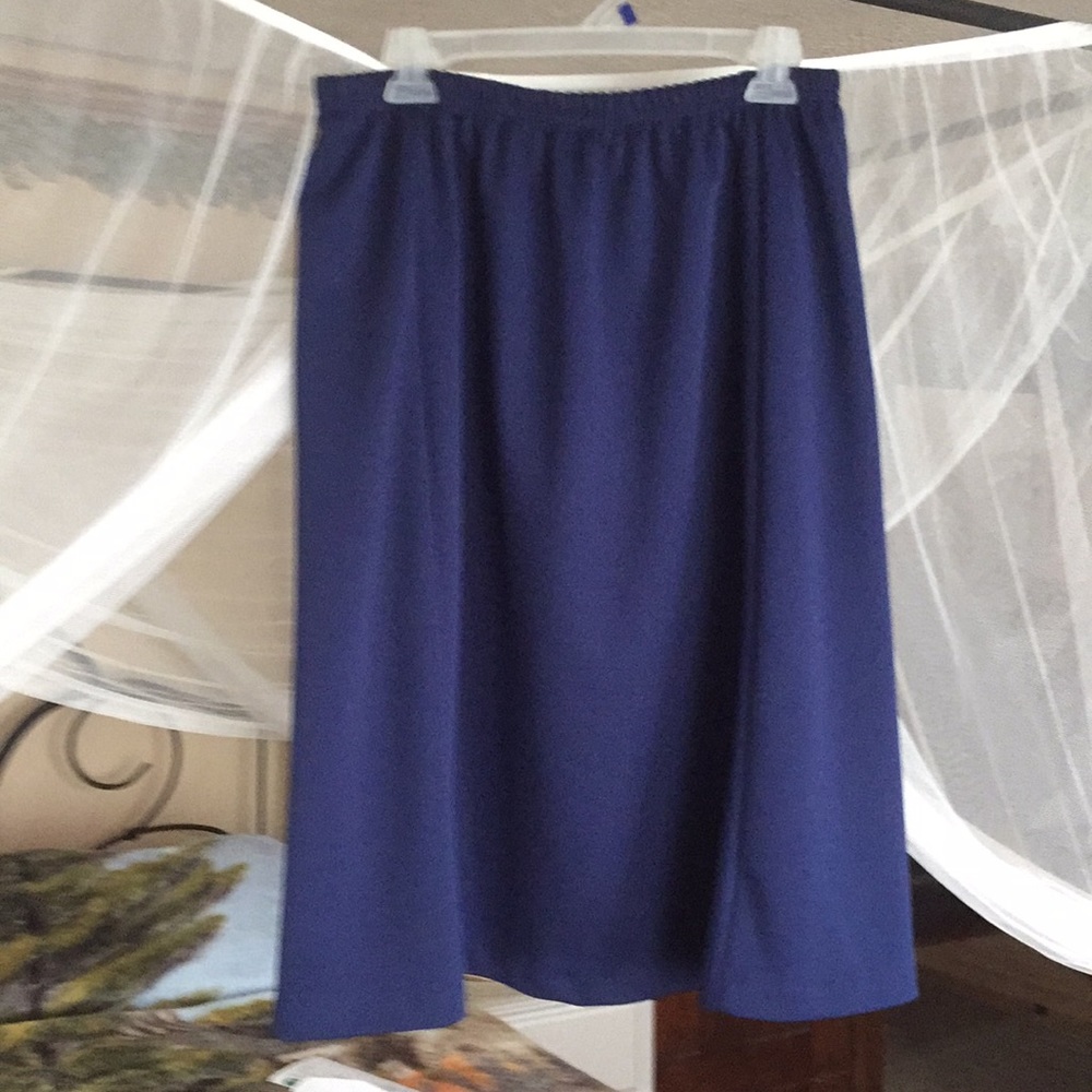 Blue Aline skirt